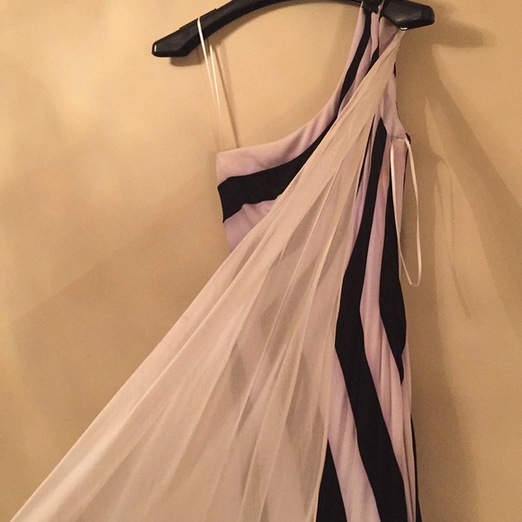 Alberto Makali Black & White Stripe Dress Size 6 - Picture 5 of 7